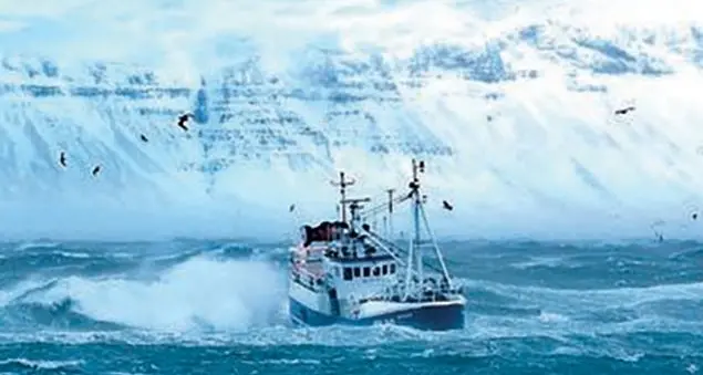 Findus, ecco i bastoncini con il bollino blu