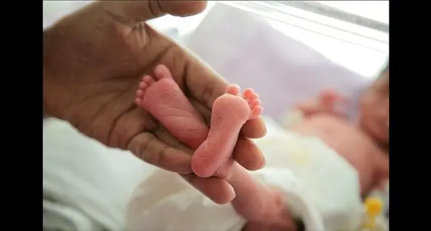 Bimbo prematuro, rifiutato dalla madre, ne trova altre quindici