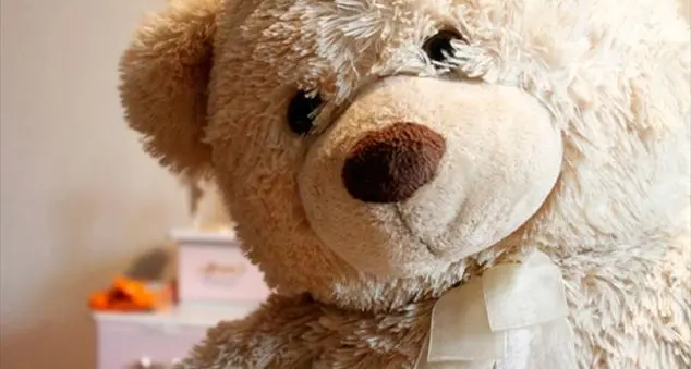 Tuo figlio troppo attaccato al peluche? Perché non obbligarlo a dire addio