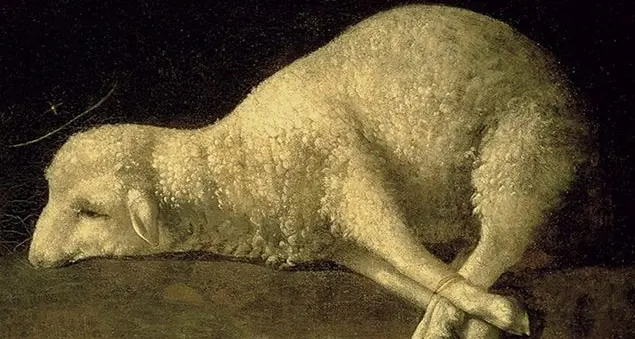 La traduzione del canto “Agnello di Dio”