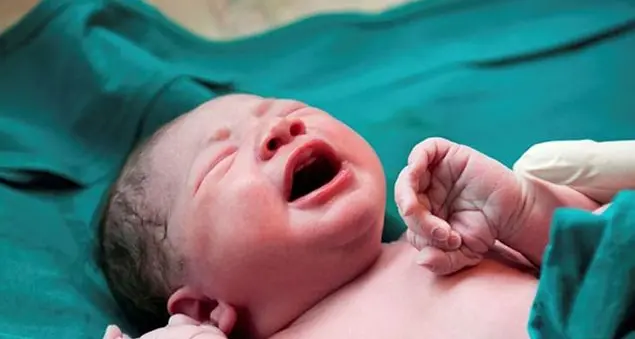 Salmo 51: «Ma dov'è il peccato nella frase \"Nella colpa sono stato generato\"?»