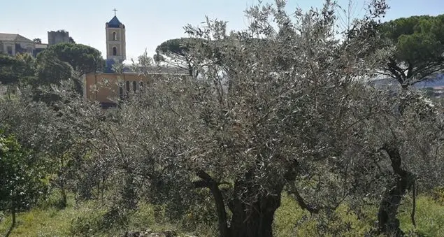 A Eboli si incontrano un santo, l'olio più raffinato e la cultura