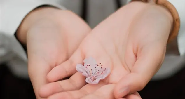 Che rapporti tenere con le persone che abbiamo perdonato?