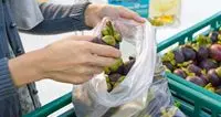 La grande bufala dei sacchetti della frutta