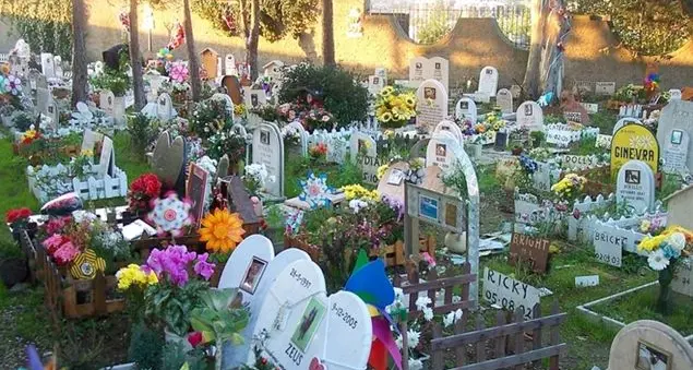 In Veneto si potranno seppellire gli animali domestici in giardino