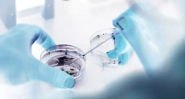 Un altro passo verso l'incubo della clonazione umana