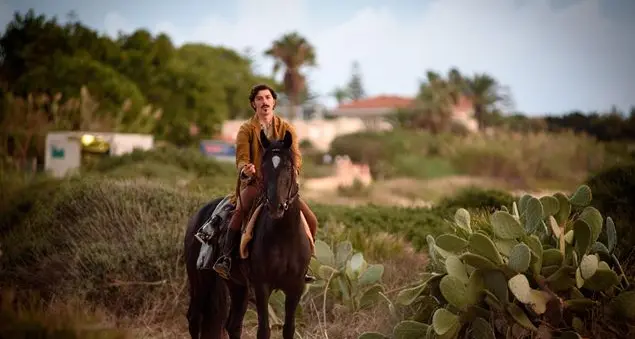 Da Montalbano a La mossa del cavallo: cosa c'è da sapere sulla fiction