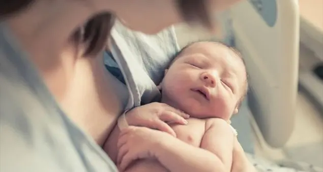 A Milano il benvenuto ai neonati si dà così