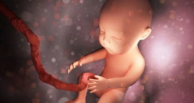 Nella pancia della mamma ai bebè piace Mozart