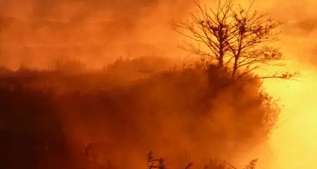 «Entrare nella vita con un occhio solo». Cosa vuol dire?