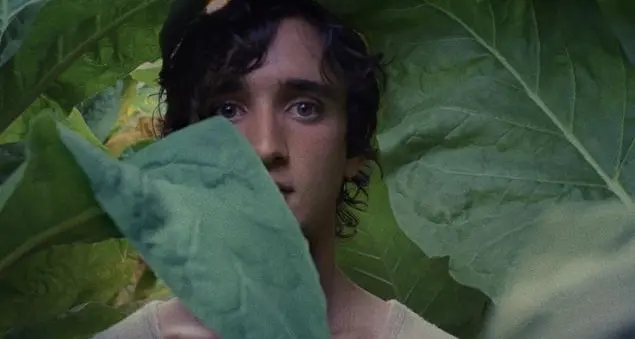 Lazzaro felice, la spiritualità salverà il mondo