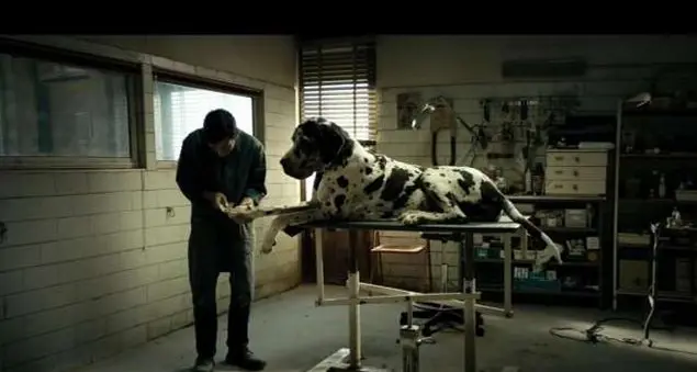 L'uomo dei cani che diventò una belva