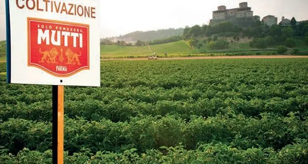 Etico e buono, il pomodoro targato Mutti