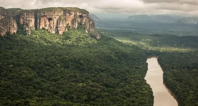 Le buone notizie dell'ambiente nel 2018 secondo il Wwf