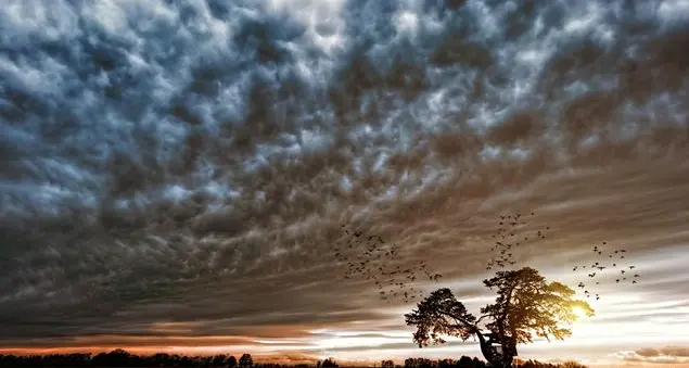 \"Coltivare l’alleanza con la terra\", XIII Giornata Nazionale per la Custodia del Creato