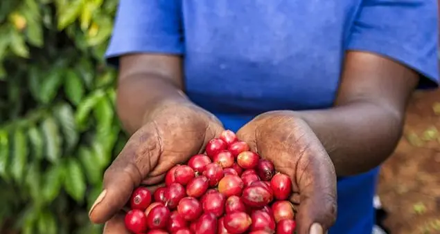 Migranti sui banchi per tornare in Africa non a mani vuote