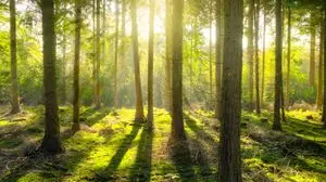 La cura del creato: una priorità, anche per le famiglie