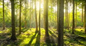 La cura del creato: una priorità, anche per le famiglie