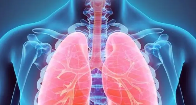 Tbc, quel batterio che dorme da decenni ...