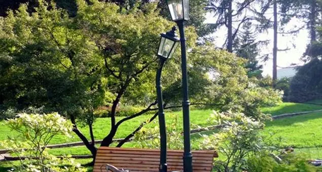 Fare filosofia camminando nel parco