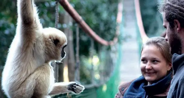 In viaggio solidale con Wep