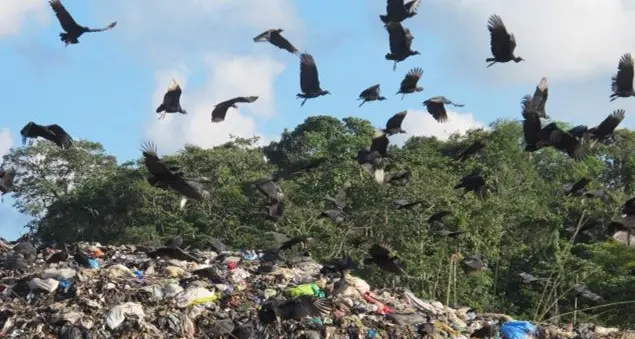 La \"Missione Ecuador\" che sfida la montagna di rifiuti