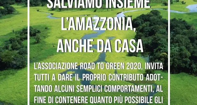 Dalla doccia al caffè, le scelte che aiutano la foresta amazzonica
