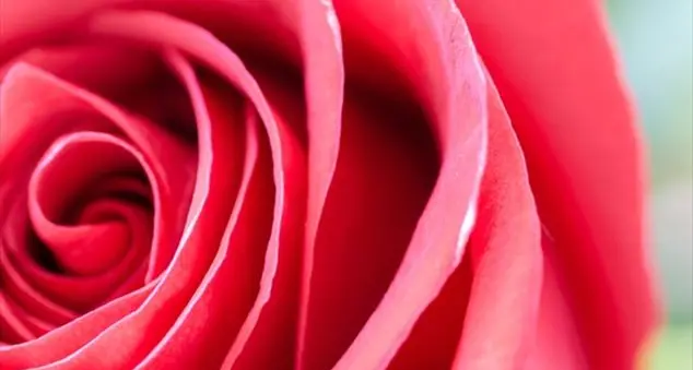 «Ma la morale sessuale della Chiesa non è coerente con le scritture»