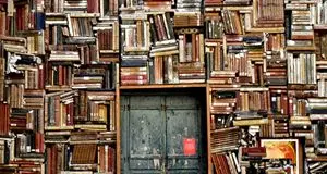 Le condizioni della scuola: «Ma è cultura o satira?»