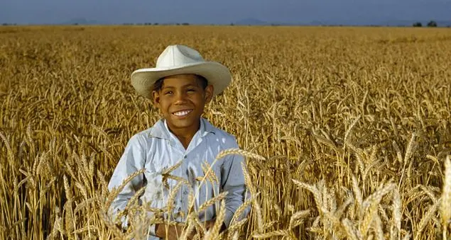 Anche Mario Monti e Carlin Petrini a Milano al Forum internazionale su nutrizione e alimentazione