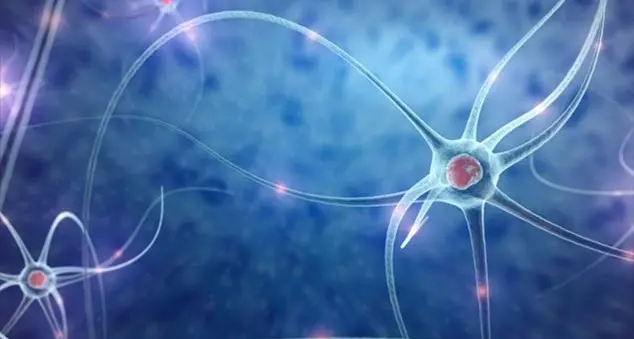 Atrofia muscolare spinale, la diagnosi passa dalla conoscenza