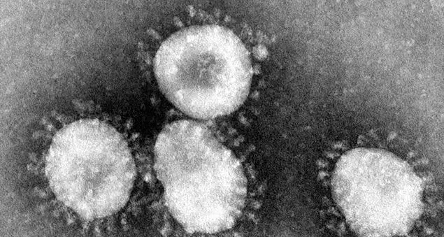 Coronavirus, tutto quello che c'è da sapere
