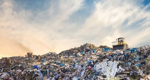 Cinque azioni per salvare il pianeta