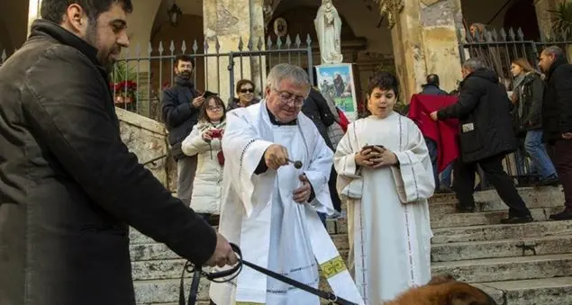 Anche gli animali sono creature