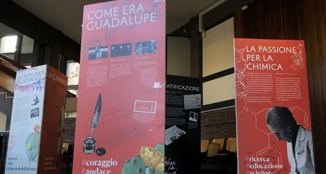 La “chimica della santità”: scienza e fede attraverso gli occhi della beata Guadalupe Ortiz