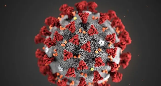 Adesso il virus spaventa il mondo, lunedì un G7 straordinario