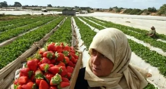 Migranti e coronavirus: il silenzio su un'emergenza dimenticata
