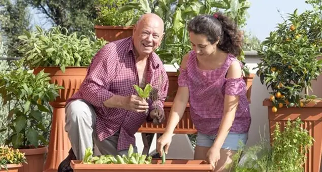 Quante piante in un pugno di terra?