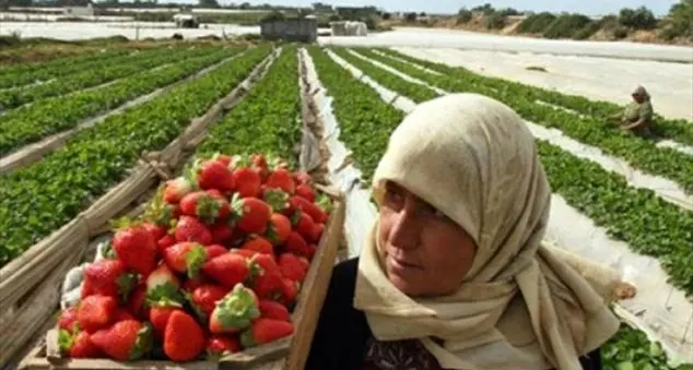 Regolarizzazione migranti (ma anche italiani): un atto di giustizia non più rinviabile