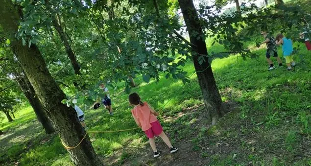 Green Campus, finalmente liberi di correre e arrampicarsi sugli alberi