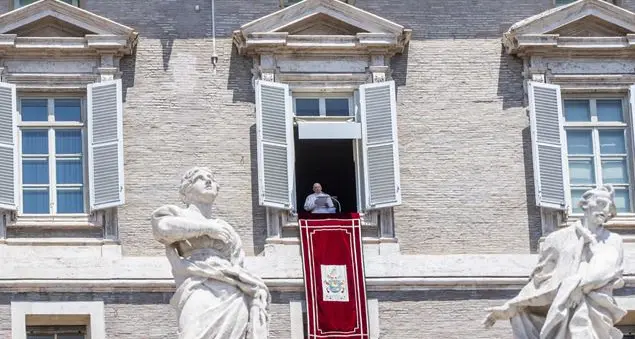 Francesco e la parabola della zizzania: il male non va estirpato richiede pazienza e misercordia