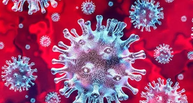 Indagine sul Coronavirus