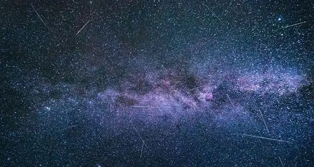 Col naso all'insù, quei desideri sulla scia delle stelle