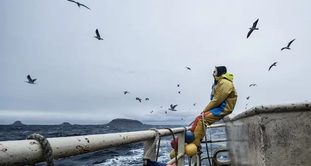 «L’epopea dello stoccafisso nato dalla solidarietà tra gente di mare»