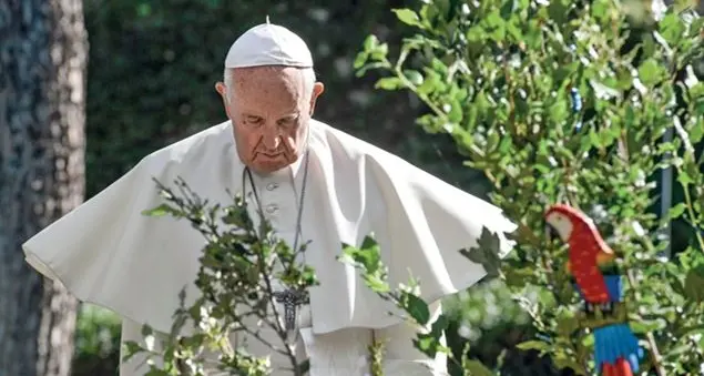 Così è nata la conversione green del Papa