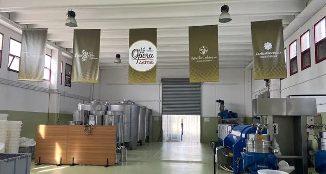 L'olio che sana le ferite