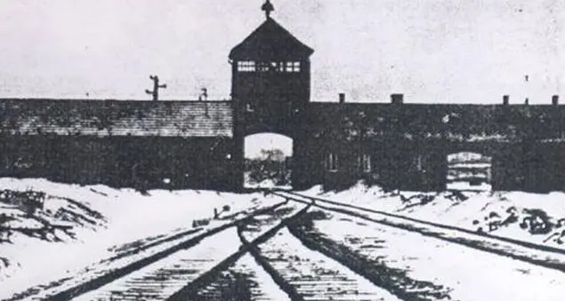 Liliana Segre e Primo Levi, due vite contro l'oblio e per la pace