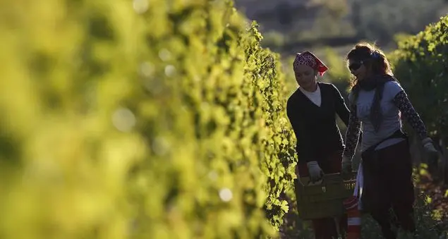 Aziende agricole al femminile in crisi, colpite dalla pandemia