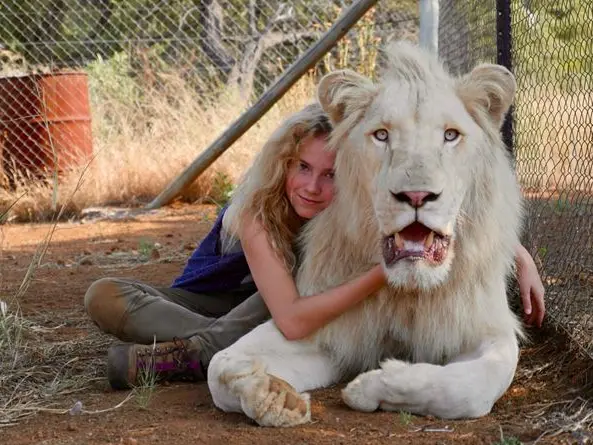 Tre anni in compagnia di un leone bianco