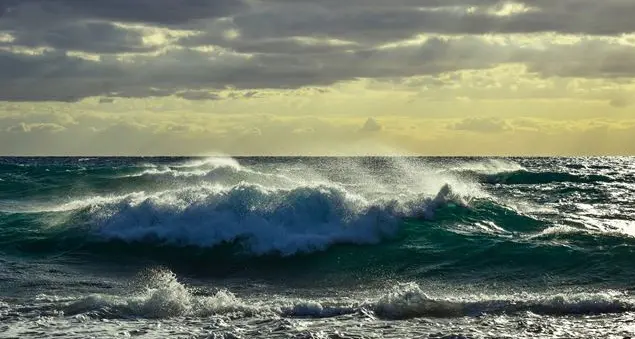Lo spirito della vita